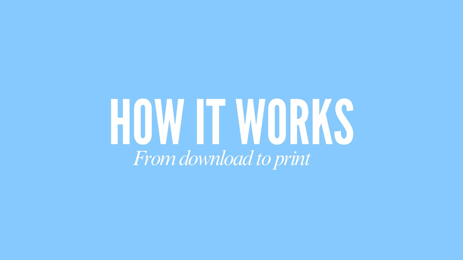 Special Edition Templates My Store special-edition-templates-my-store